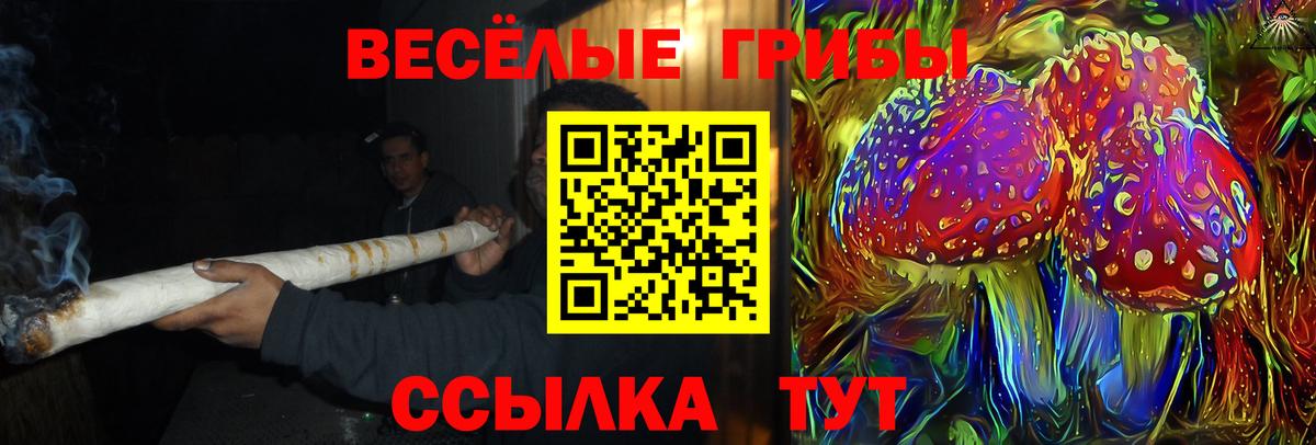 Псилоцибиновые грибы GOLDEN TEACHER  Вход с VPN  Ростов Великий 