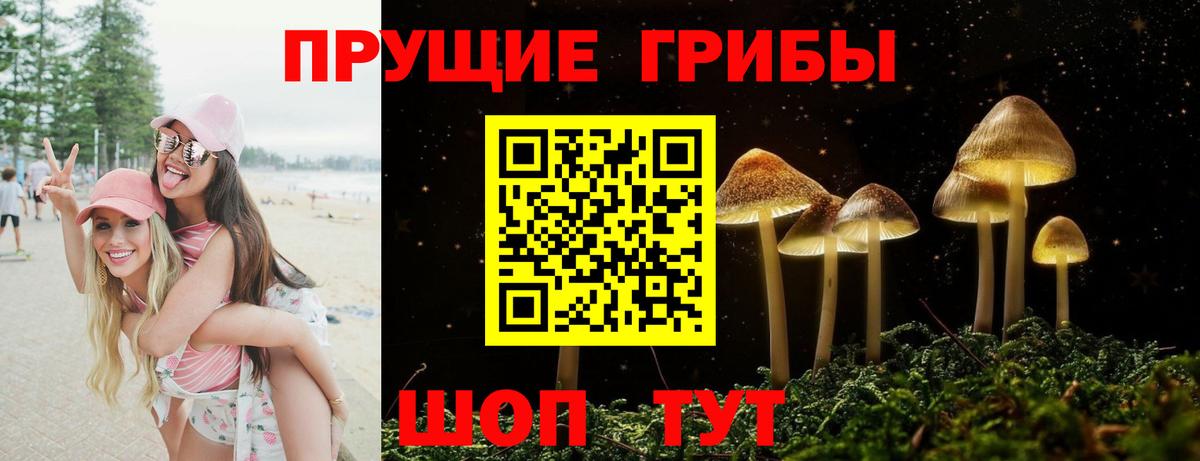 Галлюциногенные грибы MAGIC MUSHROOMS Ростов Великий
